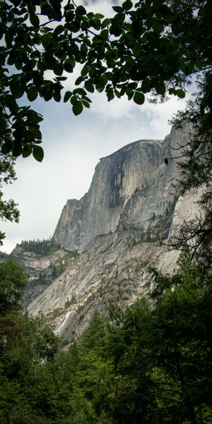 Phone wallpaper: Rock, Slope, Branches, Cliff, Trees, Nature free download