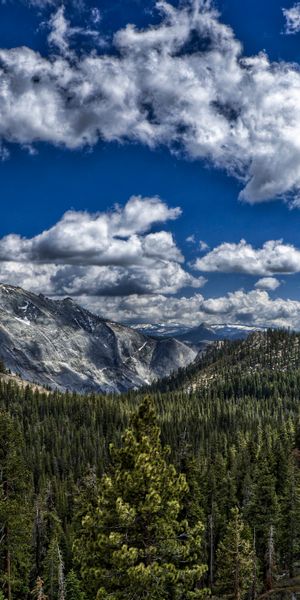 Breathtaking Mountain View with Lush Forest and Dramatic Sky