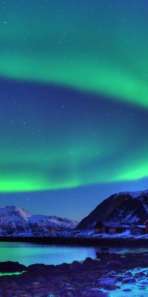Mesmerizing Aurora Borealis Illuminating the Night Sky