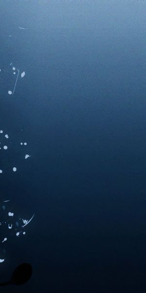 Cool Artistic Blue Flower Wallpaper for Your Phone