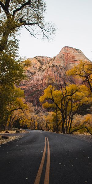 High-Quality iPhone Wallpaper: Autumn Road Surrounded by Mountains and Trees