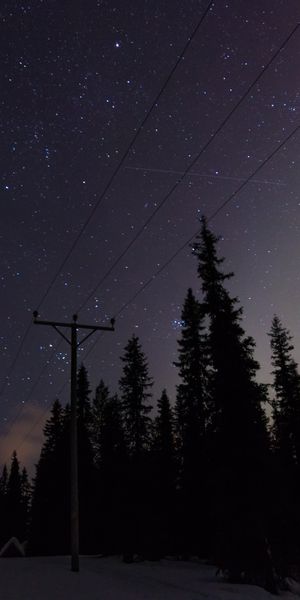 Enchanting Night Sky Wallpaper: Trees, Power Lines, and Stars for Your Phone