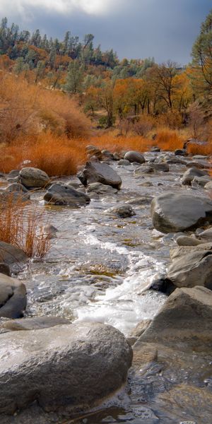 Phone wallpaper: Trees, Stones, Rivers, Nature, Landscape, Autumn free download