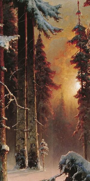 Beautiful Winter Forest with Snow and Artistic Sunrise