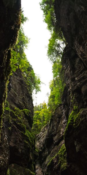 Phone wallpaper: Gorge, Trees, Nature, Rocks, Mountains free download