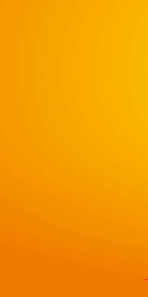 Artistic Floral Phone Wallpaper: Bright Orange Background with Elegant Flowers