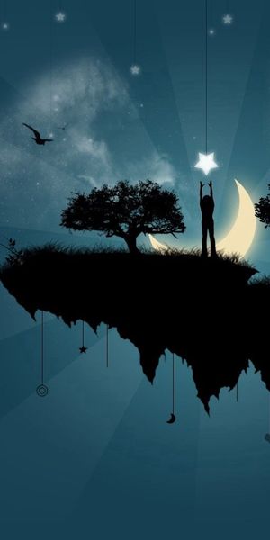 Phone wallpaper: Trees, Star, Person, Silhouette, Human, Island, Birds, Moon, Vector free download