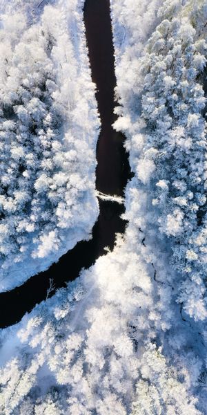 Phone wallpaper: Snow, Rivers, Trees, View From Above, Nature, Winter free download