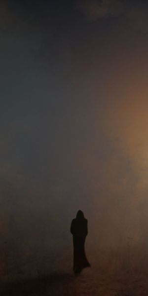 Phone wallpaper: Fog, Gloomy, Mantle, Wanderer, Silhouette, Art free download