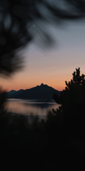 Breathtaking Sunset Mountain View with Smooth Branches