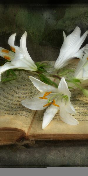 High-Quality iPhone Wallpaper Featuring Beautiful Flowers and a Vintage Book