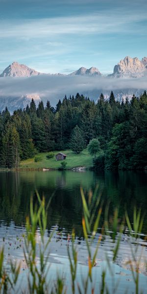 Breathtaking 4K wallpaper featuring mountains, forest, and a tranquil lake