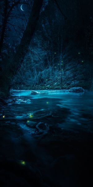 Enchanting Night Scene with Fireflies and a Tranquil River
