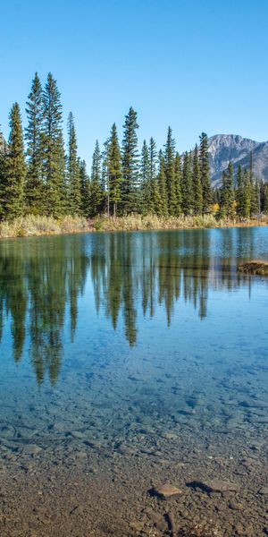 Beautiful Mountain Lake with Spruce and Fir Reflections