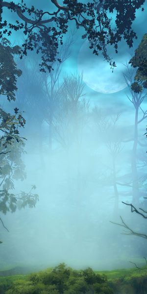 Phone wallpaper: Fog, Forest, Branches, Trees, Art, Nature free download