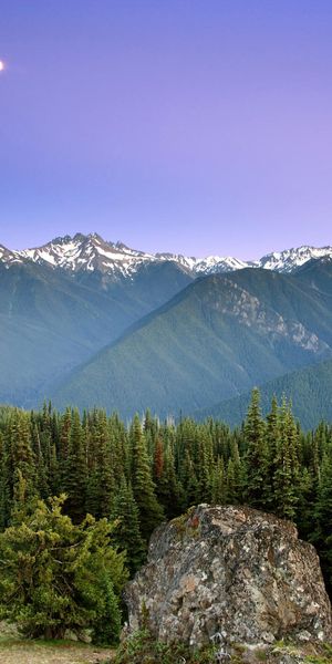 Phone wallpaper: Mountains, Mountain, Forest, Earth free download
