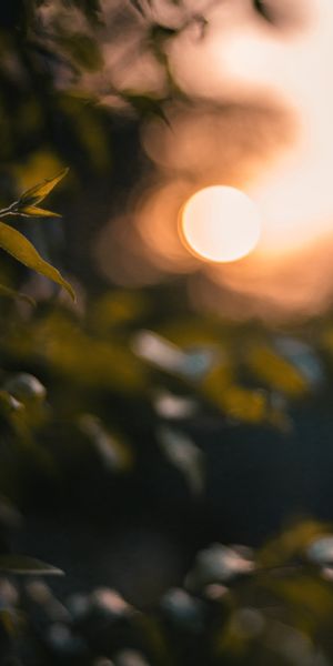 Bokeh Sunset Wallpaper with Glare and Smooth Light Effects