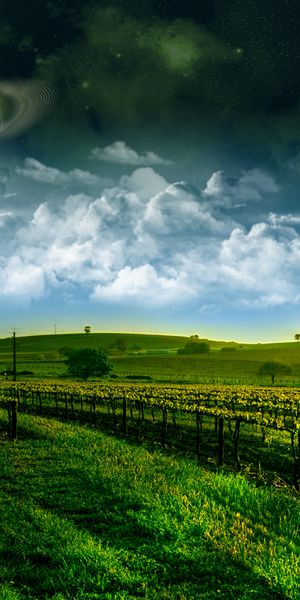 4k Hot Air Balloon Landscape in a Dreamy World