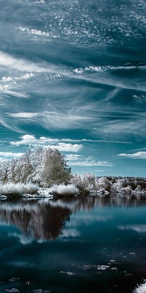 Winter Lake with Hoarfrost and Beautiful Cloud Reflections