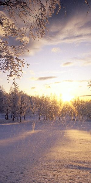 Enchanting Winter Sunset in a Snowy Landscape