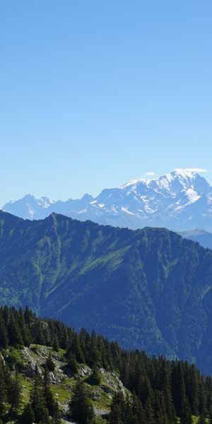 Phone wallpaper: Mountain Range, Mountains, Nature, View From Above, Trees free download