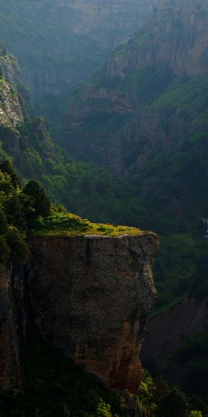 Canyon Landscape with Lush Greenery and Rivers