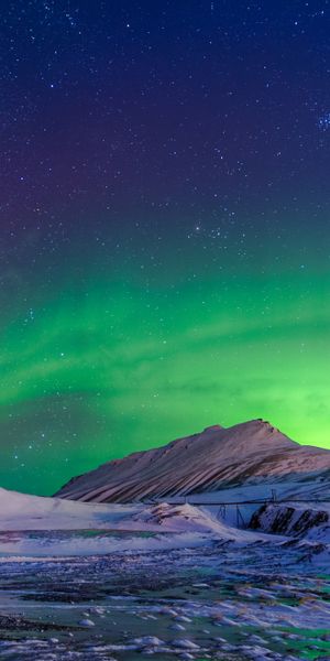 Breathtaking Aurora Borealis Illuminating a Winter Landscape