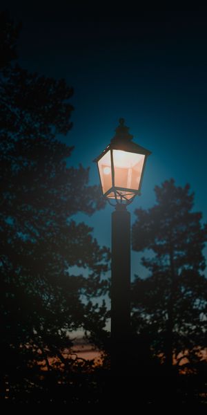 Beautiful Night Lamp Post Surrounded by Nature