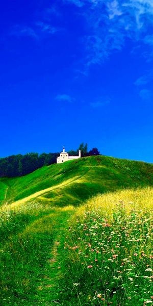 Beautiful Meadow Landscape with Blue Sky and Rolling Hills