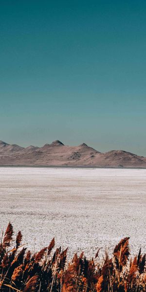 Phone wallpaper: Ears, Relief, Spikes, Sky, Mountains, Nature free download