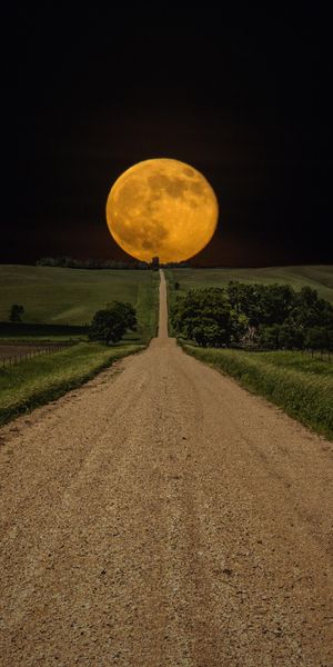 Mesmerizing Night Landscape with a Full Moon