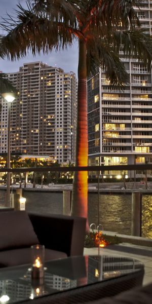 Beautiful Miami Cityscape at Night with Palm Trees