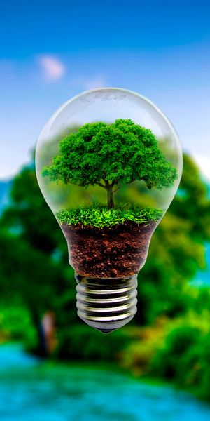 3D Miniature Tree Lamp with Scenic Background