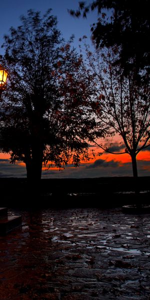 Captivating High-Quality Phone Wallpaper Featuring a Sunset and Street Lamps