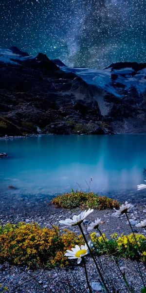 Beautiful Night Lake Scene with White Flowers and Starry Sky