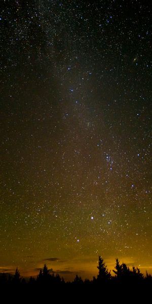 Phone wallpaper: Sky, Stars, Night, Earth, Meteor free download