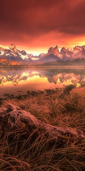 Phone wallpaper: Torres Del Paine, Chile, Patagonia, Mountains, Lake, Nature, Grass, Earth, Reflecti