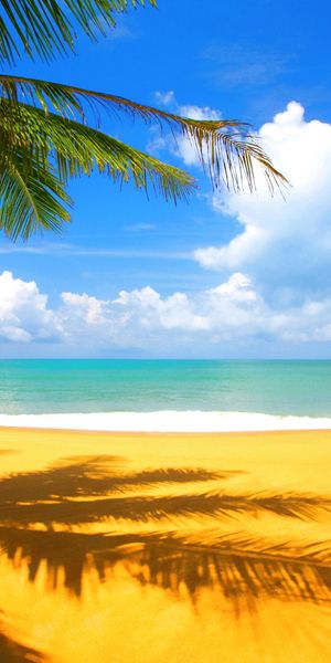 High-Quality Beach Wallpaper: A Serene Coastal Escape for Your Phone