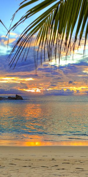 Breathtaking 4K mobile wallpaper of a tropical beach at sunset