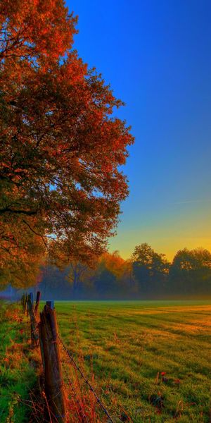 Beautiful Sunset Over an Autumn Field
