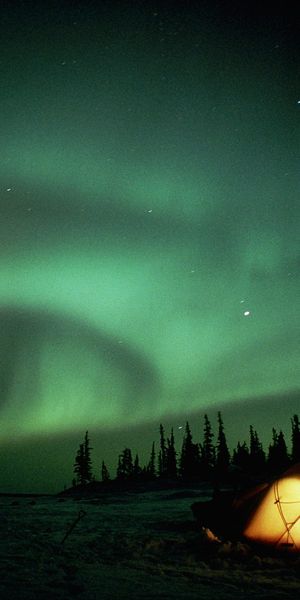 Breathtaking Aurora Borealis Illuminating the Night Sky
