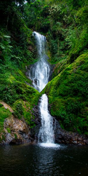Breathtaking Waterfall Surrounded by Lush Greenery