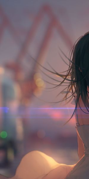 Beautiful Anime Girl by the Fence at Dusk