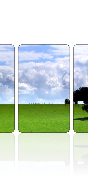 A Beautiful Triptych of a Lone Tree Against a Blue Sky