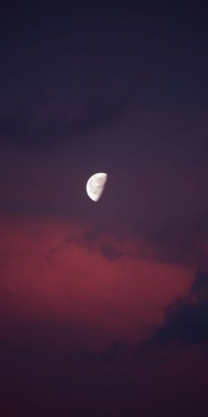 Half Moon Illuminating a Pink Sky at Night