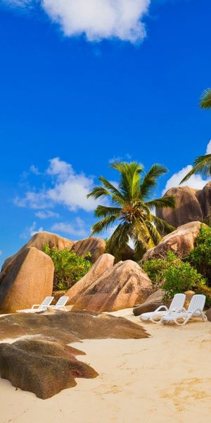 Phone wallpaper: Beach, Sand, Chair, Tree, Ocean, Tropical, Photography, Seychelles, Palm Tree free
