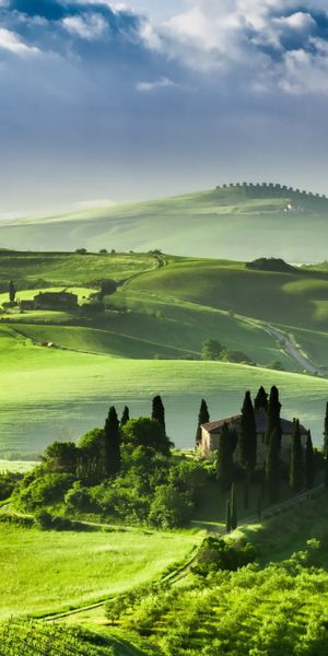 Breathtaking Tuscany Landscape for Your Mobile Wallpaper