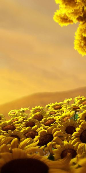 Vibrant Sunflower Field at Sunset