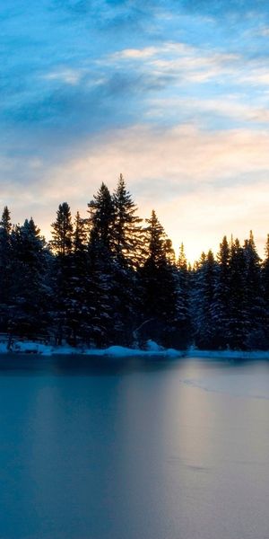 Phone wallpaper: Trees, Winter, Sky, Landscape, Water free download