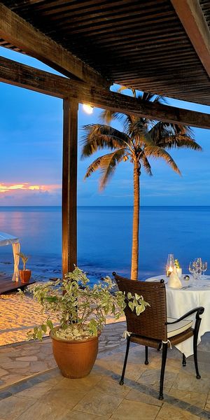 Tropical Evening Beach with Palms and Calm Sea